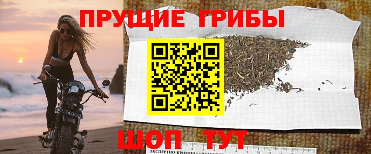 Златоуст  Псилоцибиновые грибы ЛСД  Вход с VPN 